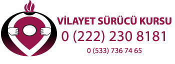 vilayetsurucukursu.net